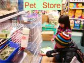 湖南少年兒童出版社小學(xué)英語三年級起點五年級上冊 Unit 5 Can I have a pet   課件4