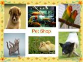 湖南少年兒童出版社小學(xué)英語三年級起點五年級上冊 Unit 5 Can I have a pet   課件4