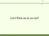 湖南少年兒童出版社小學(xué)英語三年級起點(diǎn)五年級上冊 Unit 6 Which one do you want   課件