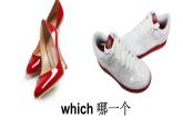 湖南少年兒童出版社小學(xué)英語三年級起點(diǎn)五年級上冊 Unit 6 Which one do you want   課件2