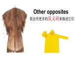 湖南少年兒童出版社小學(xué)英語三年級起點(diǎn)五年級上冊 Unit 6 Which one do you want   課件2