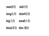 湖南少年兒童出版社小學(xué)英語三年級起點(diǎn)五年級上冊 Unit 6 Which one do you want   課件2