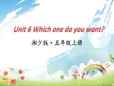 湖南少年兒童出版社小學(xué)英語三年級起點(diǎn)五年級上冊 Unit 6 Which one do you want   課件4