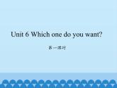 湖南少年兒童出版社小學(xué)英語三年級起點(diǎn)五年級上冊 Unit 6 Which one do you want   課件5