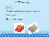 湖南少年兒童出版社小學(xué)英語三年級起點(diǎn)五年級上冊 Unit 6 Which one do you want   課件6