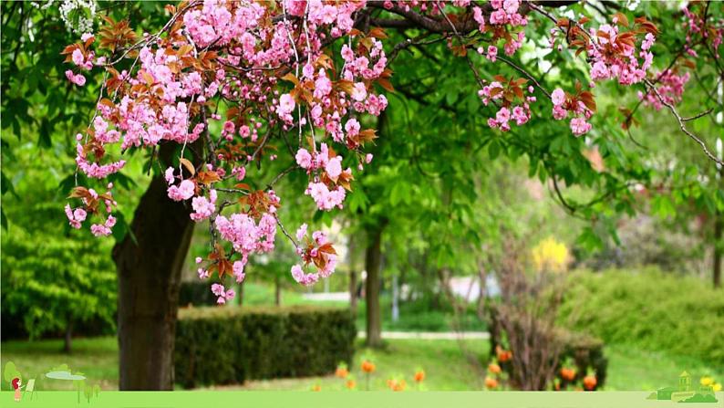 冀教英语三年级上册 Unit 2 Lesson 10 PPT课件+素材03