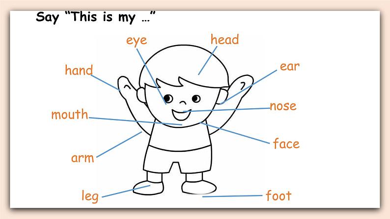 Recycle  1  第二课时  课件+素材05