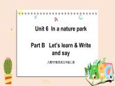 人教PEP版英语五年级上册Unit 6 In a nature park PartB 第二课时  课件+素材