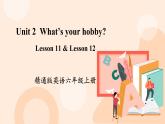 Unit 2 What’s your hobby Lesson 11 & Lesson 12课件+素材