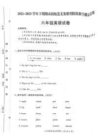 河南省信阳市固始县2022-2023学年六年级下学期6月期末英语试题