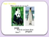 人教版新起點(diǎn)英語五年級上冊Unit 3 Lesson 3  課件