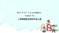 小学英语Lesson 16获奖ppt课件