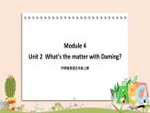 外研版英语五年级上册：Module 4 Unit 2  What's the matter with Daming 教学课件+素材