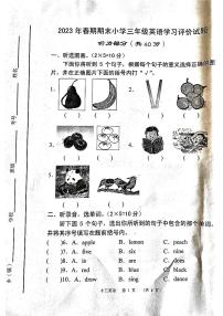 河南省南阳市宛城区2022-2023学年三年级下学期6月期末英语试题