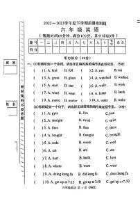 广东省东莞市望牛墩镇2022-2023学年六年级下学期期末英语试题