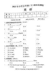湖南省邵阳市2022-2023学年五年级下学期期末英语试卷