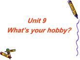 湖南少年儿童出版社小学英语三年级起点五年级上册 Unit 9 What's your hobby   课件4