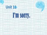 湖南少年儿童出版社小学英语三年级起点五年级上册 Unit 11 I'm sorry   课件2