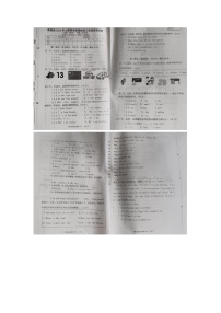 湖南省株洲市茶陵县2022-2023学年三年级下学期6月期末英语试题