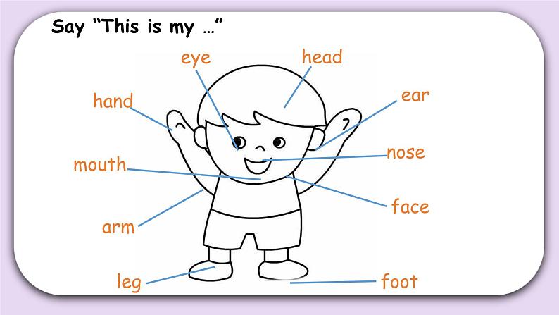 Recycle  1  第二课时  课件+素材05