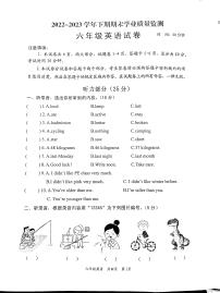 河南省沁阳市2022-2023学年六年级下学期期末英语试题