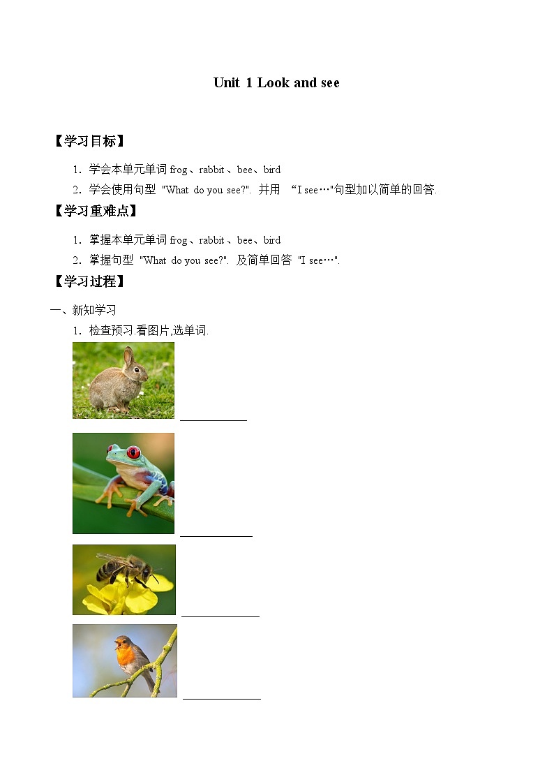 小学英语沪教牛津版（六三制一起）一年级下册学案：Unit 1 Look and see（无答案）01