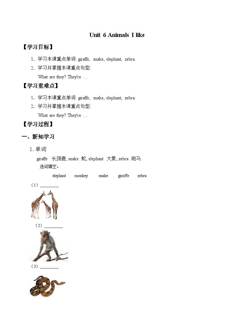小学英语沪教牛津版（六三制一起）二年级下册学案：Unit 6 Animals I like （无答案）01