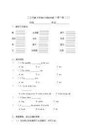 牛津译林版二年级上册Unit 3 It has a short tail精品课后复习题