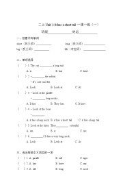 小学英语牛津译林版二年级上册Unit 3 It has a short tail精品同步练习题