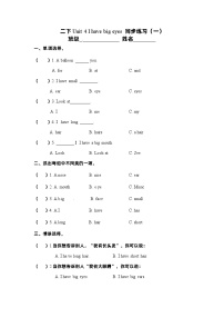 牛津译林版二年级下册Unit 4 I have big eyes优秀一课一练