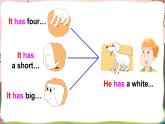 Unit 3  Our animal friends Grammar time & Fun time （课件+素材）译林版（三起）英语五年级上册