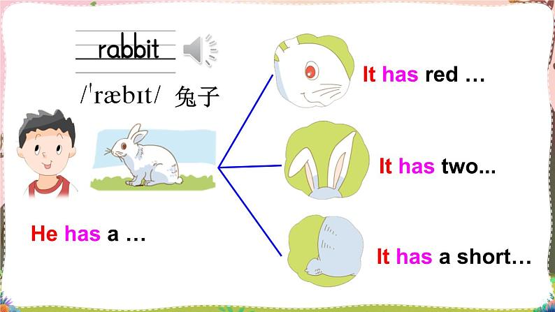 Unit 3  Our animal friends Grammar time & Fun time （课件+素材）译林版（三起）英语五年级上册06