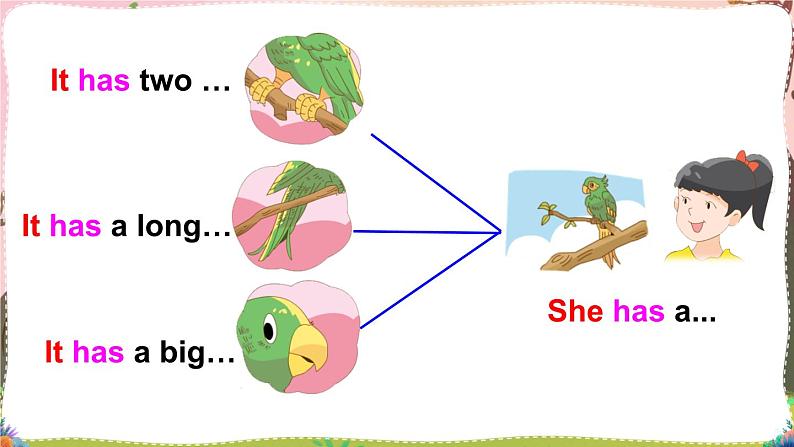 Unit 3  Our animal friends Grammar time & Fun time （课件+素材）译林版（三起）英语五年级上册07