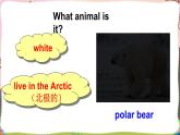 Unit 3  Our animal friends Sound time & Culture time （课件+素材）译林版（三起）英语五年级上册