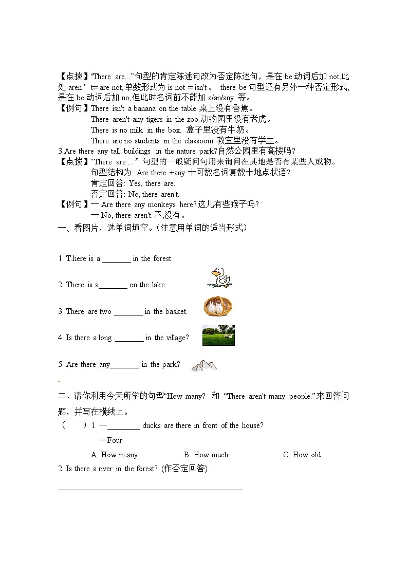 【讲练测】五年级上册英语讲义- Unit 6 In a nature park第三课时人教PEP（含答案）_new02