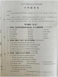 河南省南阳市淅川县2022-2023学年六年级下学期期末英语试题