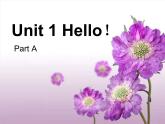 福建教育出版社小学英语三年级上册（三年级起点） Unit 1 Hello Part A    课件1