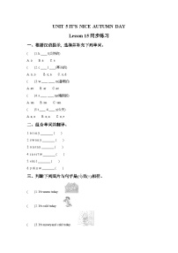 小学英语北京版三年级上册Lesson 1精品同步训练题