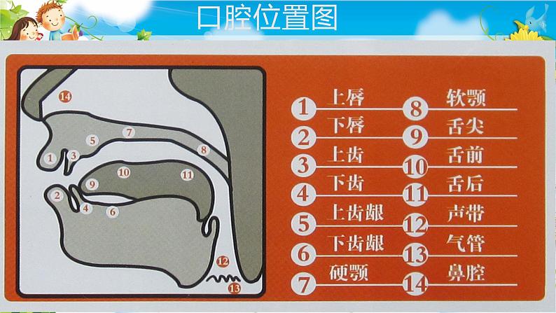 通用版英语小升初暑假衔接 音标专题02【48个国际音标】课件PPT04