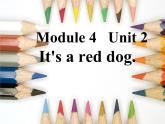 外研版（一年级起点）小学一年级英语上册 Module 4  Unit 2  It's a red dog.   课件5