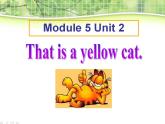 外研版（一年级起点）小学一年级英语上册 Module 5  Unit 2  That is a yellow cat.   课件2