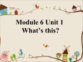 外研版（一年级起点）小学一年级英语上册 Module 6  Unit 1  What's this？   课件1