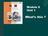 外研版（一年级起点）小学一年级英语上册 Module 6  Unit 1  What's this？   课件5