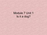 外研版（一年级起点）小学一年级英语上册 Module 7  Unit 1  Is it a dog  课件4