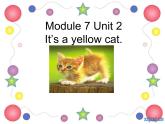 外研版（一年级起点）小学一年级英语上册 Module 7  Unit 2  It’s a yellow cat.  课件2