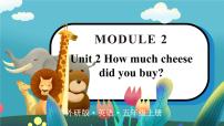 英语Unit 2 How much cheese did you buy?课堂教学课件ppt