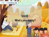 M3U2 What’s your hobby  六英上外研[課件+教案+導(dǎo)學(xué)案]