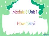 外研版（一年级起点）小学一年级英语上册 Module 8  Unit1 How many  课件2