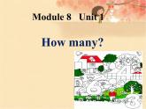 外研版（一年级起点）小学一年级英语上册 Module 8  Unit1 How many  课件5