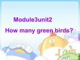 外研版（一年级起点）小学一年级英语下册 Module 3 Unit 2  How many green birds   课件